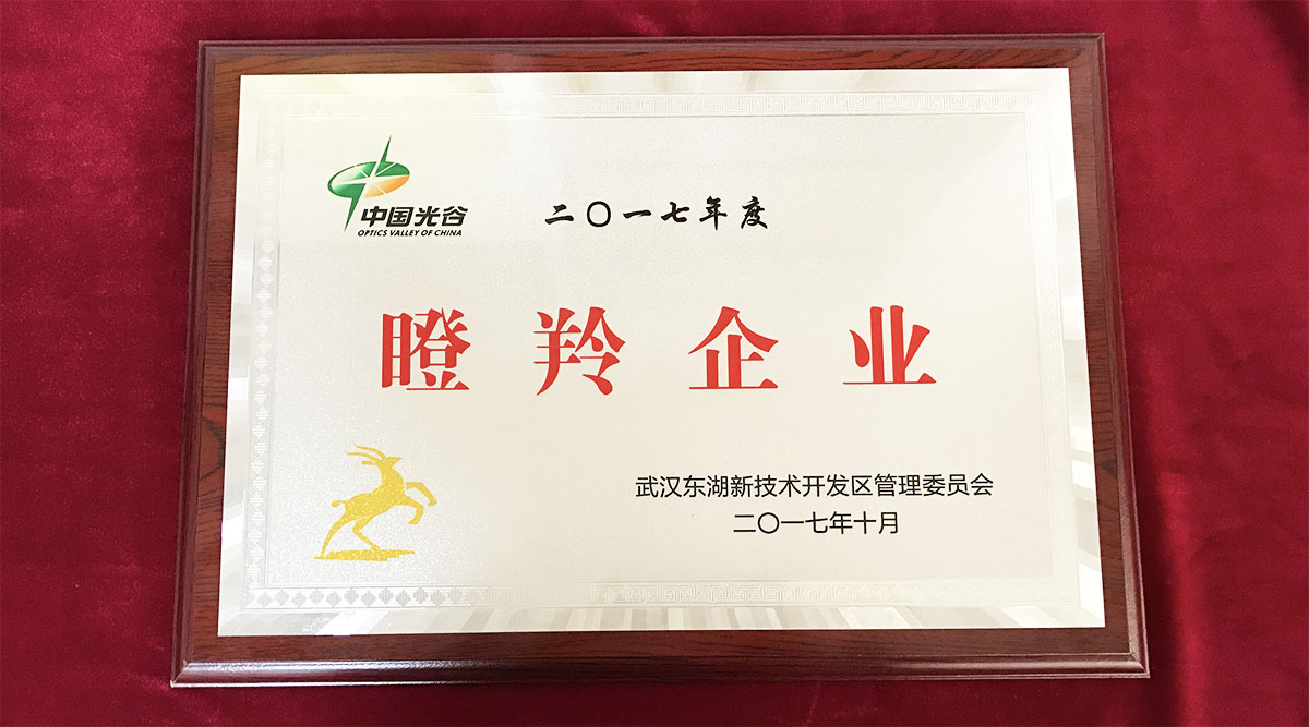 祝賀武漢邁信電氣技術有限公司榮獲中國光谷2017年度“瞪羚企業(yè)”！